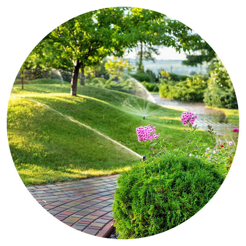 Lush garden with sprinklers and flowers.