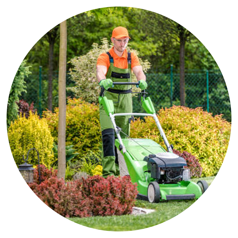 Gardener mowing lawn with green lawnmower.