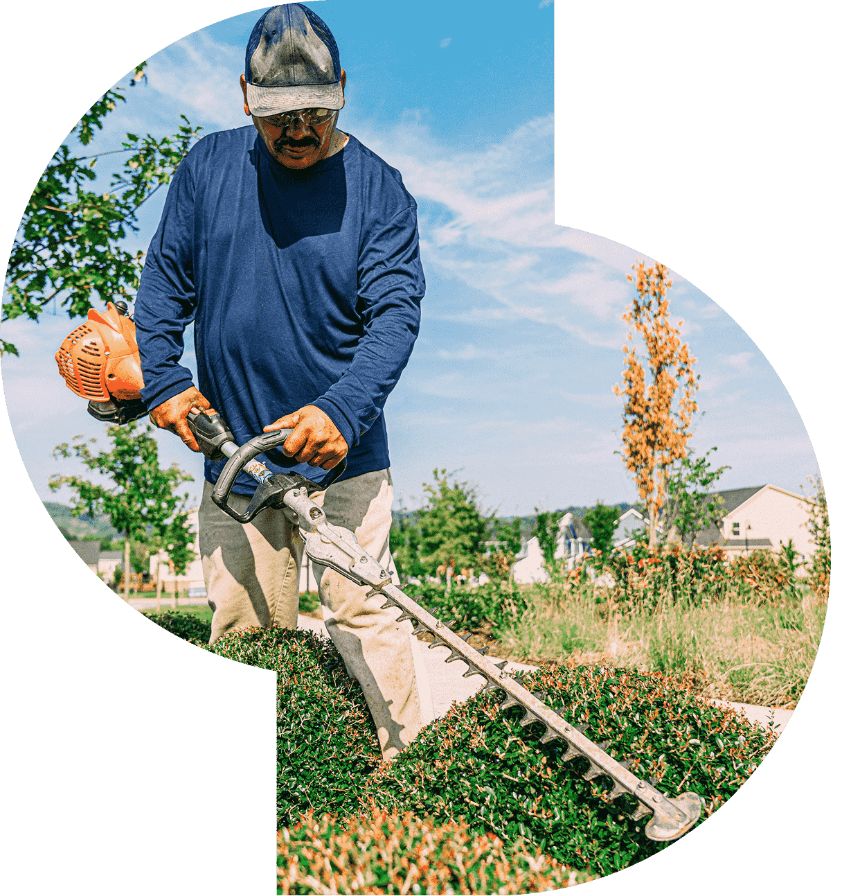 Man trimming bushes with a hedge trimmer.